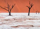 Deadvlei Trees : Dead Trees, Deadvlei, Namibia